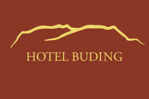 Hôtel Buding